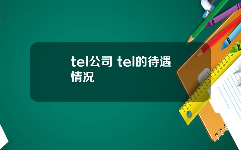 tel公司 tel的待遇情况